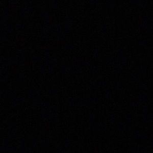 Meet your Posher, Michela